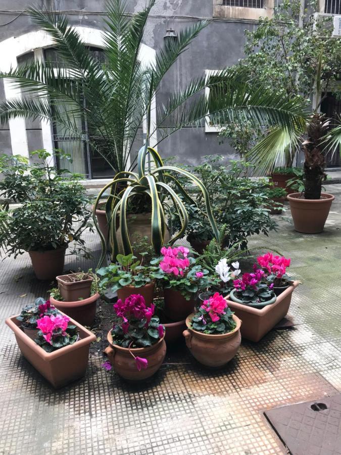 Elegante Appartamento Centro Storico 카타니아 외부 사진